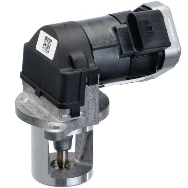 Exhaust Gas Recirculation (EGR) Valve