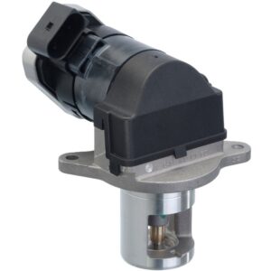Exhaust Gas Recirculation (EGR) Valve