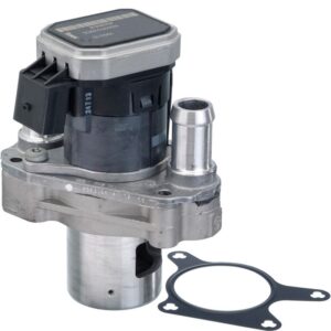 Exhaust Gas Recirculation (EGR) Valve