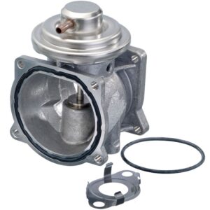 Exhaust Gas Recirculation (EGR) Valve