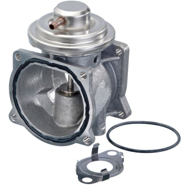 Exhaust Gas Recirculation (EGR) Valve