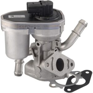 Exhaust Gas Recirculation (EGR) Valve