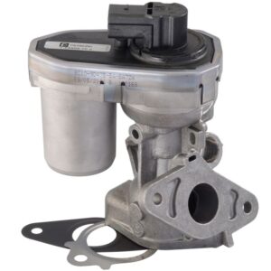 Exhaust Gas Recirculation (EGR) Valve