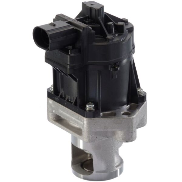 Exhaust Gas Recirculation (EGR) Valve