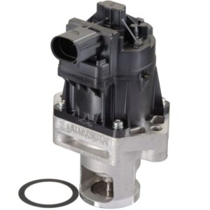 Exhaust Gas Recirculation (EGR) Valve