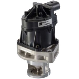 Exhaust Gas Recirculation (EGR) Valve