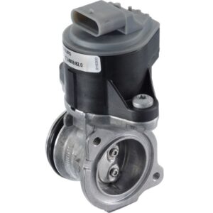 Exhaust Gas Recirculation (EGR) Valve