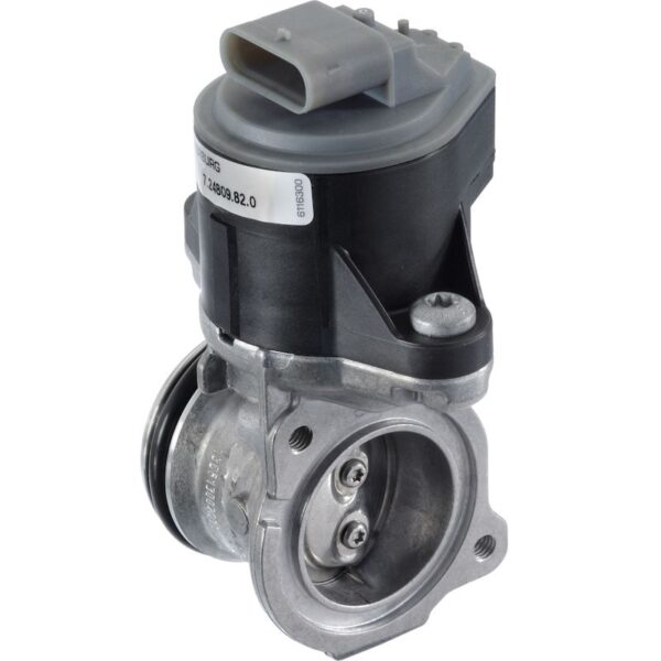 Exhaust Gas Recirculation (EGR) Valve