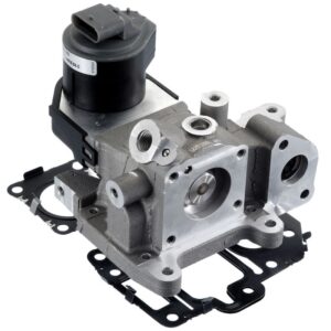 Exhaust Gas Recirculation (EGR) Valve