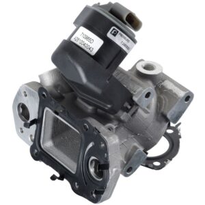 Exhaust Gas Recirculation (EGR) Valve