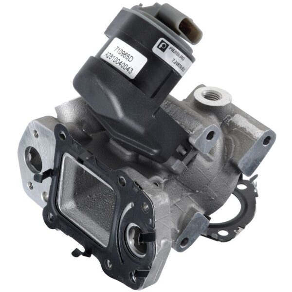 Exhaust Gas Recirculation (EGR) Valve
