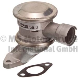 Exhaust Gas Recirculation (EGR) Valve