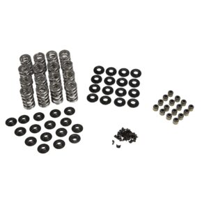 LS Dual Valve Spring Kit for 8mm Valve Stem