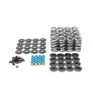LS Dual Valve Spring Kit for 11/32 Valve Stem