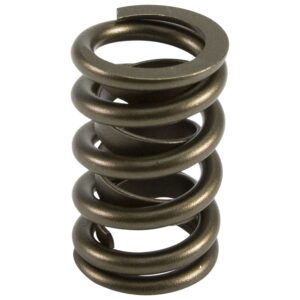 Single Valve Spring w/ Damper; 1.260 O.D.; 1.750 Installed Height; One Spring