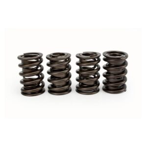 Engine Valve Spring Kit