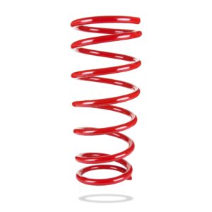 COIL SPRING - REAR
