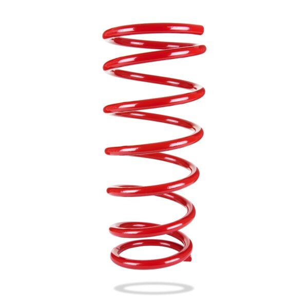 COIL SPRING - REAR