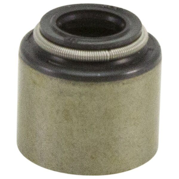 .446 Guide Size 5/16 Valve Stem Diameter, Valve Seal for Triple Springs