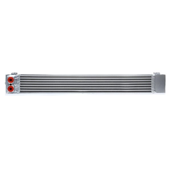 BMW E46 M3 / E39 M5 Race-Spec Dual-Pass Oil Cooler