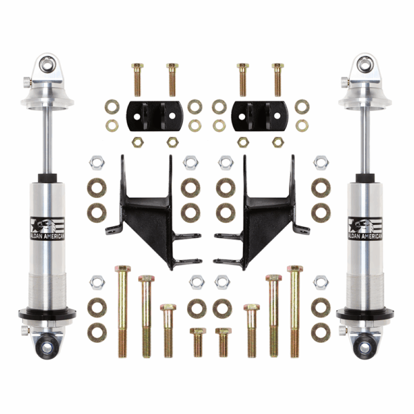 Aldan American Coil-Over Kit, Buick, Chevy, Olds, Pontiac, Rear, Double Adj.