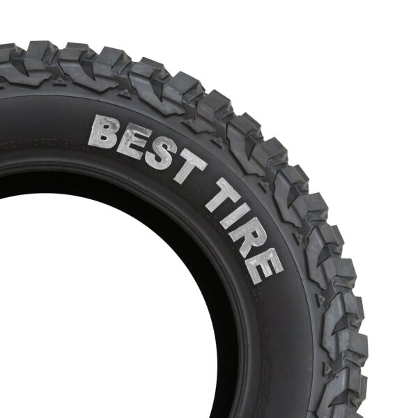 TYPE S Permanent weather-resistant tire styling marker for rubber, Silver