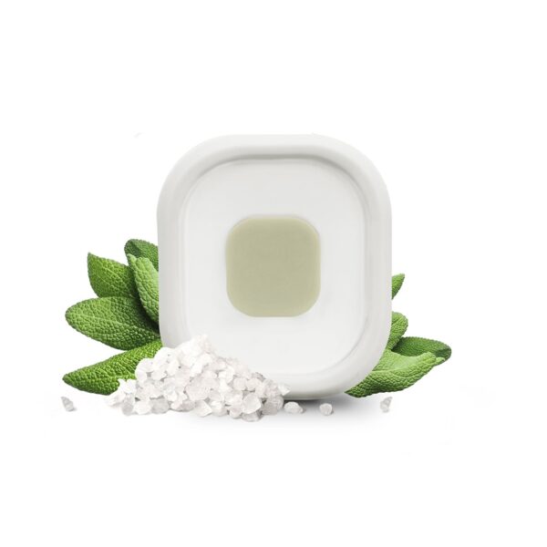 Aerostone - Wood Sage & Sea Salt