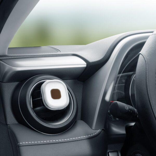 Aerostone - Black Pepper & Cedar