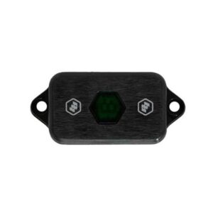 LED Rock Light