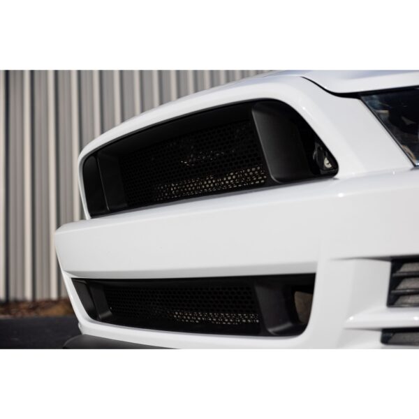 RTR Lower Grille (13-14 GT,V6)