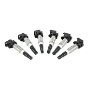 Ignition Coil, fits BMW M54, N20, N52, N54, N55, N62, S54, S62 2002+, Set of 6