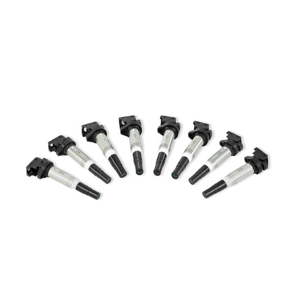 Ignition Coil, fits BMW M54, N20, N52, N54, N55, N62, S54, S62 2002+, Set of 8