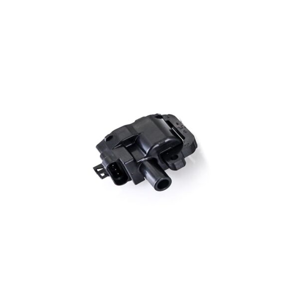 Ignition Coil, Fits GM LS1/LS6 Engines 1997-2002