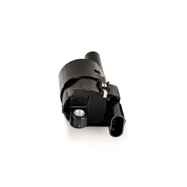 Ignition Coil, Fits GM LS2/LS3/LS4/LS7/LS9 (Round)