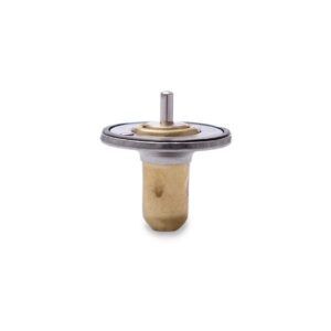 Chevrolet Corvette C7 Racing Thermostat