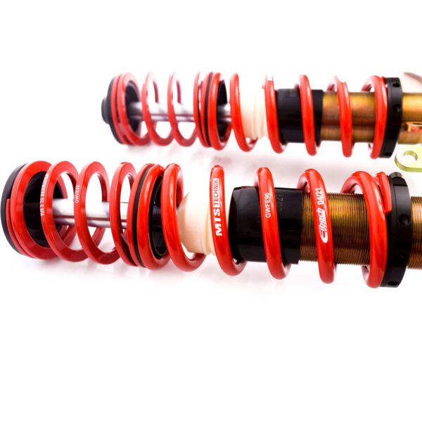Coilover Suspension Street - MTSGWAU30