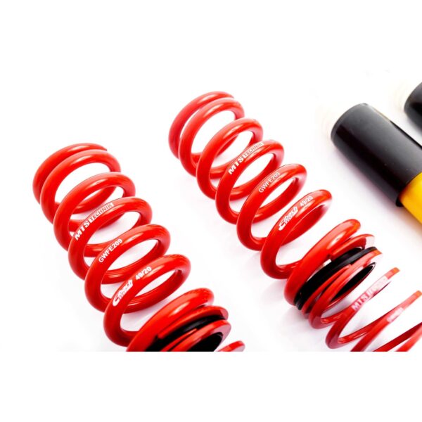Coilover Suspension Stance - MTSGWBM47-S