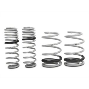 RTR Tactical Performance Lowering Springs (05-14 GT Coupe, V6 Coupe)