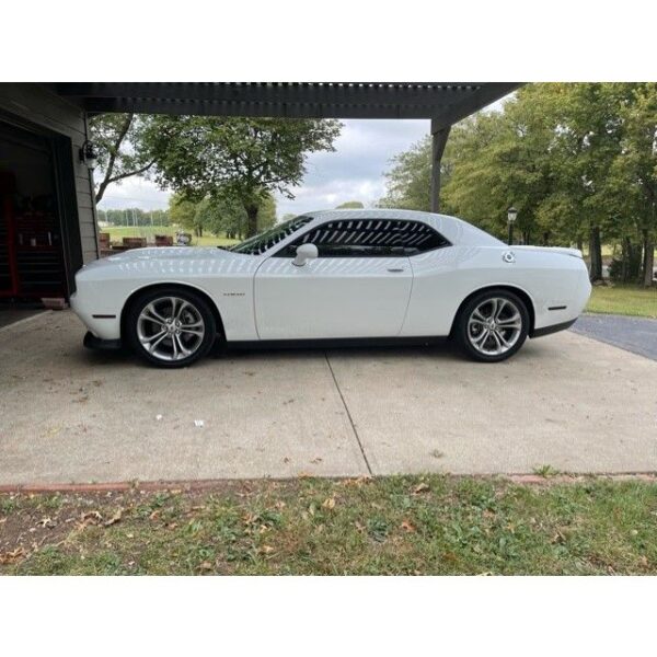 Lowering Springs, AXS Kit. Front and Rear. Dodge, Set of 4. Black.