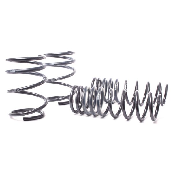H&R Special Springs Race Spring Kit