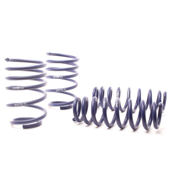 H&R Special Springs Race Spring Kit