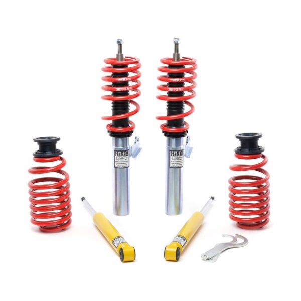 H&R Special Springs RSS Coil Over Kit