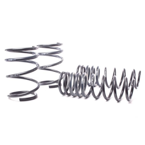 H&R Special Springs Race Spring Kit