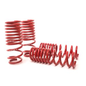 H&R Special Springs Race Spring Kit