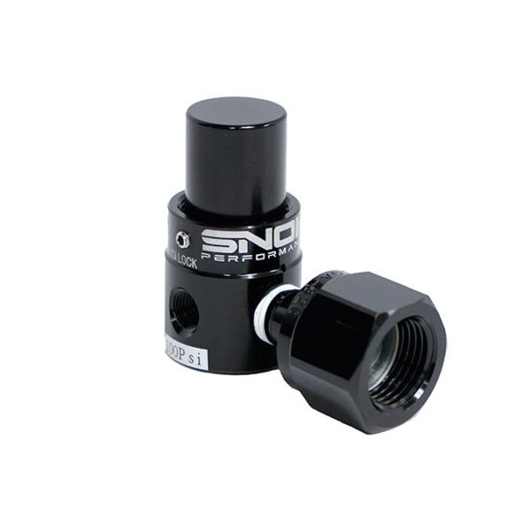 CO2 Regulator, Dual Outlet Fixed 100 PSI, 1/8npt Outlet
