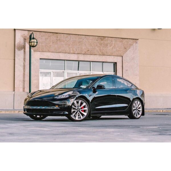 Rally Armor MF62-UR-BLK/RD - 2017-23 Tesla 3 - Black Mud Flap/Red Logo