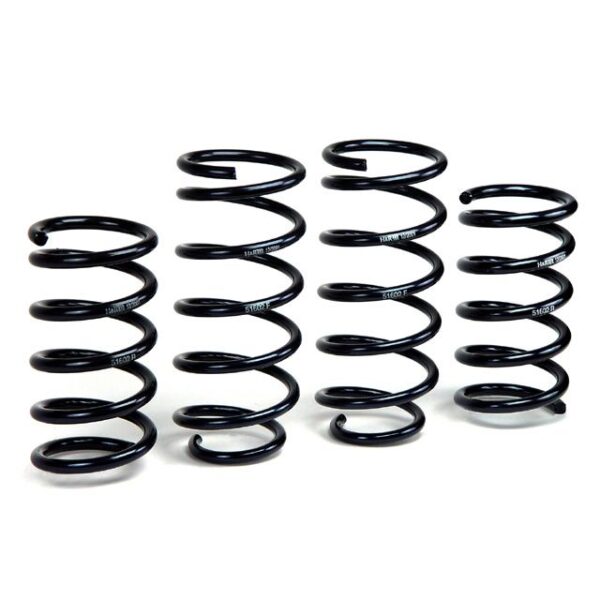 H&R Special Springs Raising Spring Kit