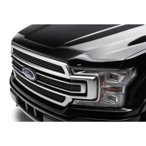 Husky Liners 2842096 Aeroskin Flush Mount Dark Smoke Hood Protector for 15-20 Ford F-150 Exc. Raptor